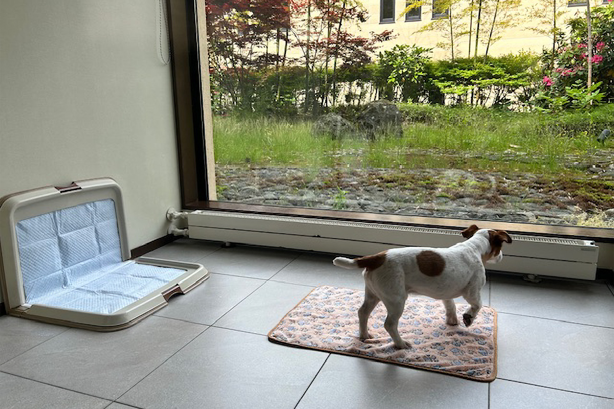 ハイアット リージェンシー 箱根の部屋と愛犬